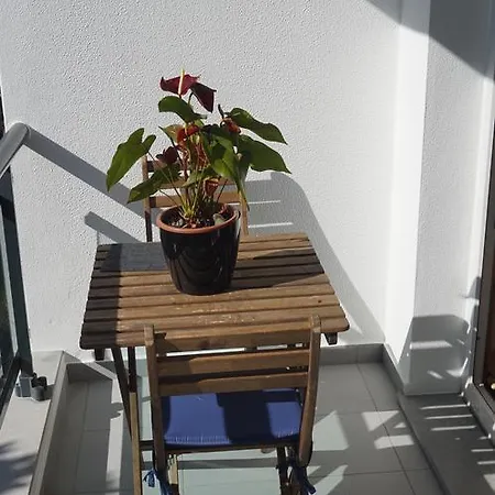 アパート Jardim Madalenas